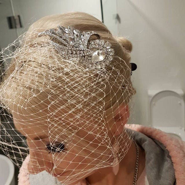 Birdcage Veil Headband: White Clay Flowers, Pearls & Crystal - Wired Comb
