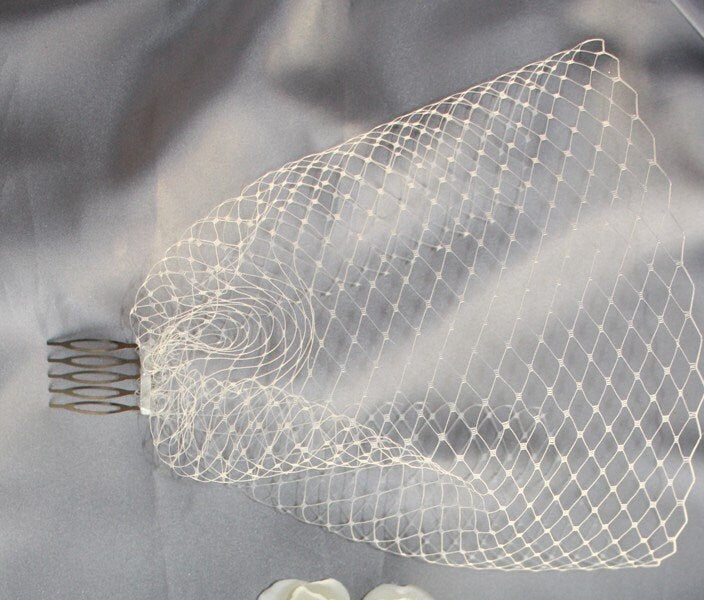 Ivory Birdcage Veil - 2 items