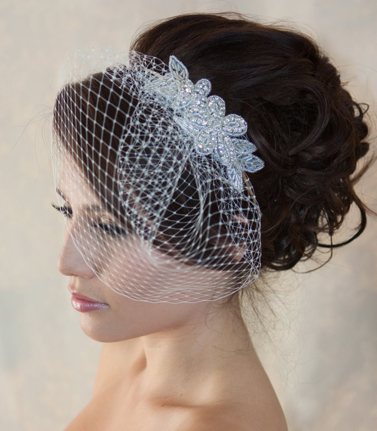 Wedding Birdcage Veil with Crystal rhinestone applique VI04.