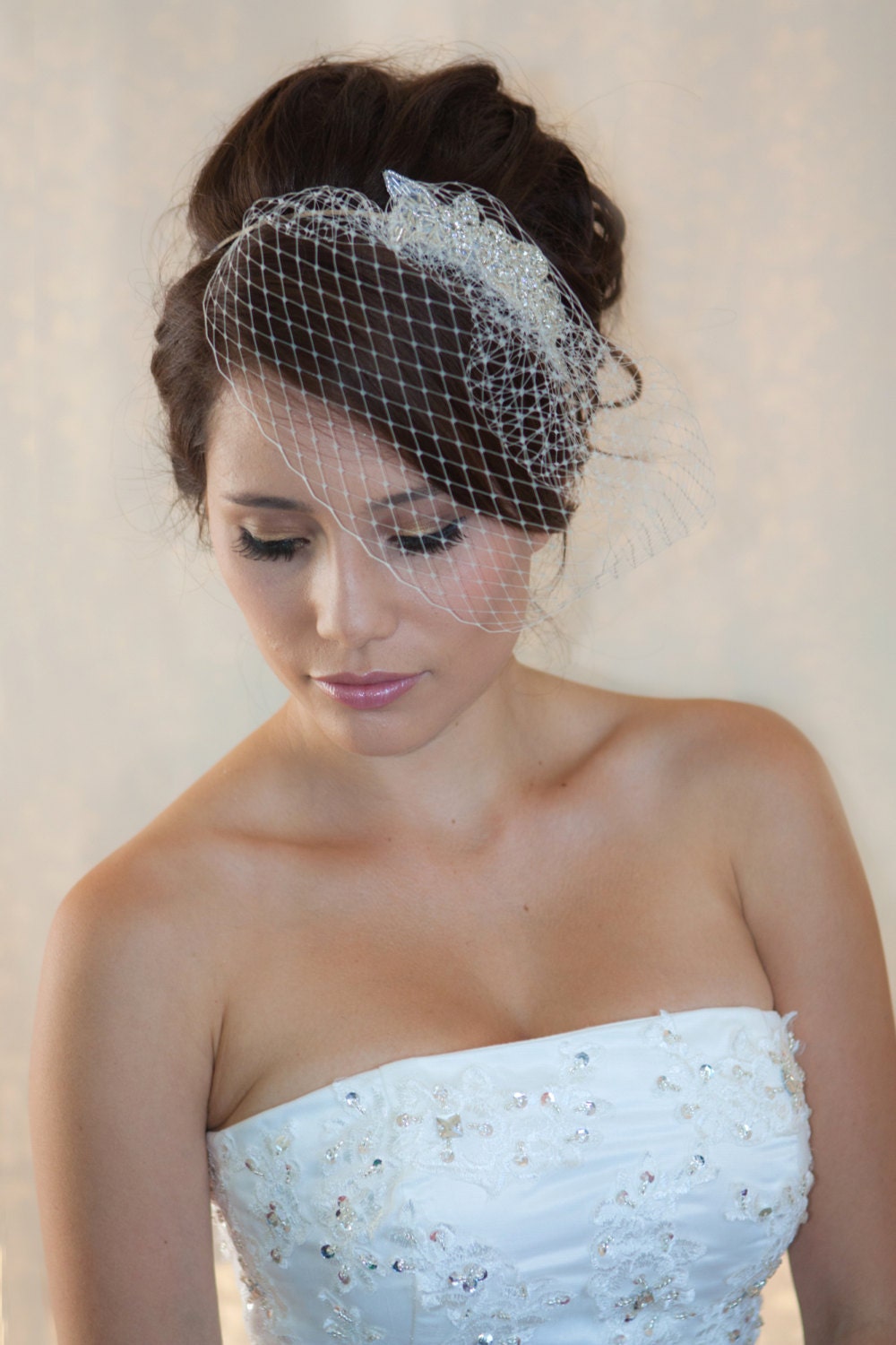 Wedding Birdcage Veil with Crystal rhinestone applique VI04.