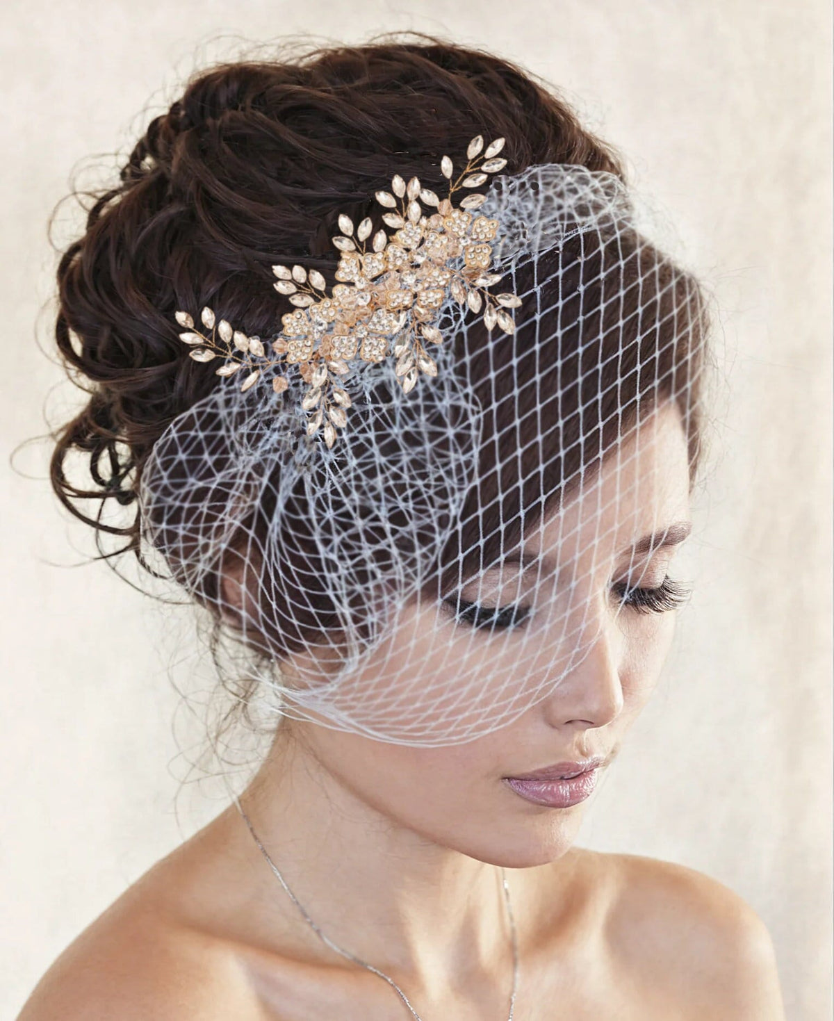 Crystal Vine Birdcage Veil: French Netting Bridal Hair Comb